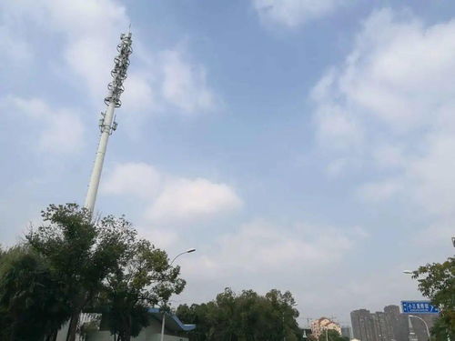 云在青天水波平——北大街街道污染防治百日攻堅專項行動掠影