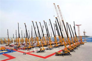 扎根平凡崗位 鑄就時代通途——十九大代表王民的公路工程建設之路